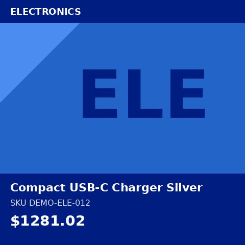 [DEMO-ELE-012] Compact USB-C Charger Silver