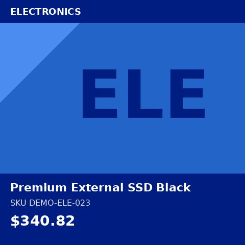 Premium External SSD Black