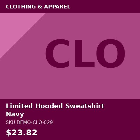 [DEMO-CLO-029] Limited Hooded Sweatshirt Navy