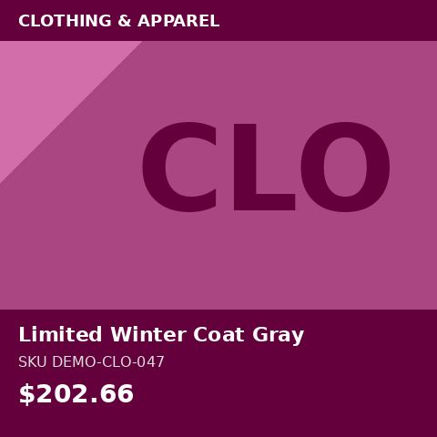 Limited Winter Coat Gray