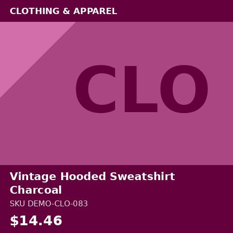 [DEMO-CLO-083] Vintage Hooded Sweatshirt Charcoal