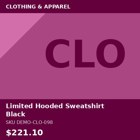 Limited Hooded Sweatshirt Black
