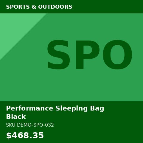 Performance Sleeping Bag Black