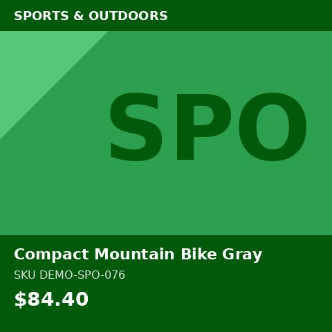 Compact Mountain Bike Gray