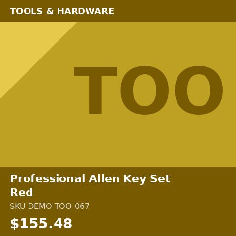 Professional Allen Key Set Red